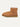 UGG-Stivaletti Classic Mini da Uomo Castagna-TRYME Shop