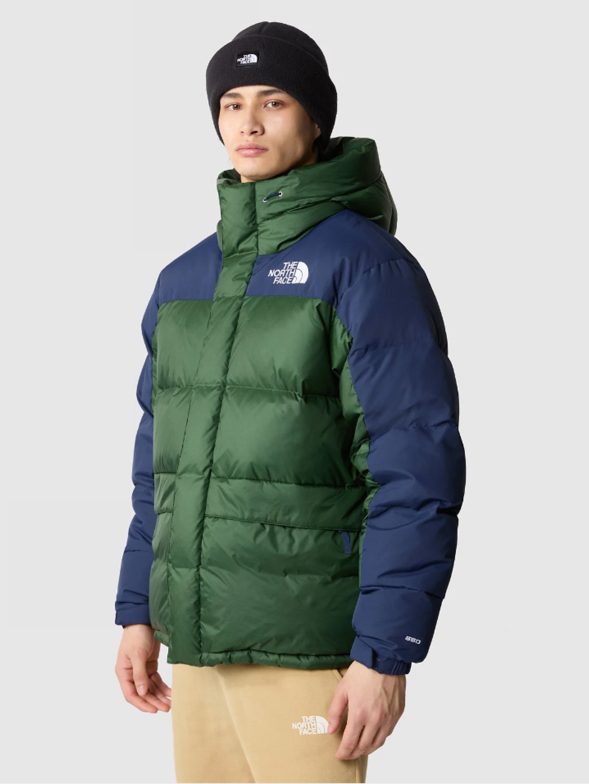 THE NORTH FACE Color Block Himalayan Green/Blue Hooded Down