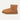 UGG-Stivaletti Classic Mini da Uomo Castagna-TRYME Shop