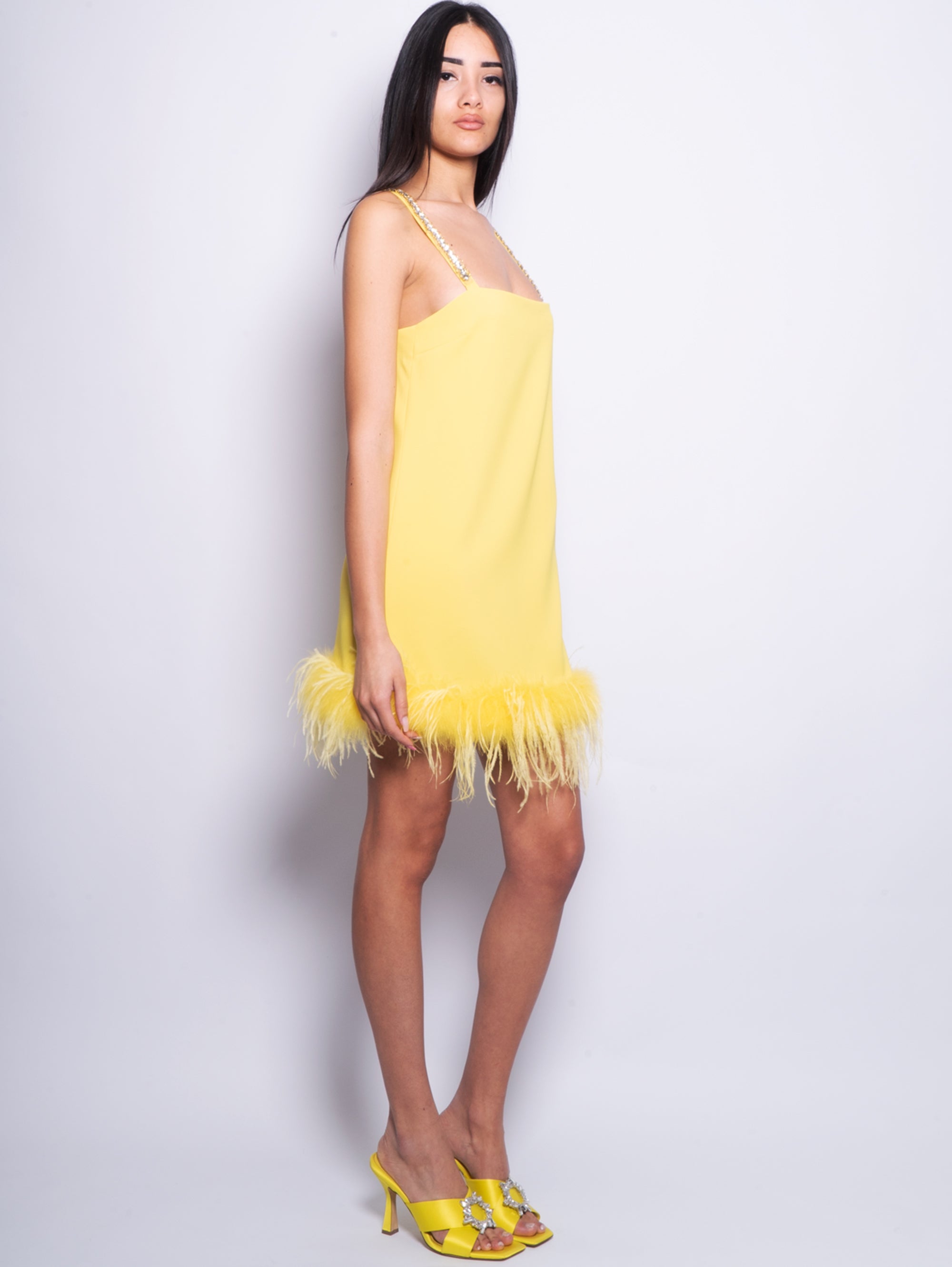 Short Dress with Feathers and Yellow Stones