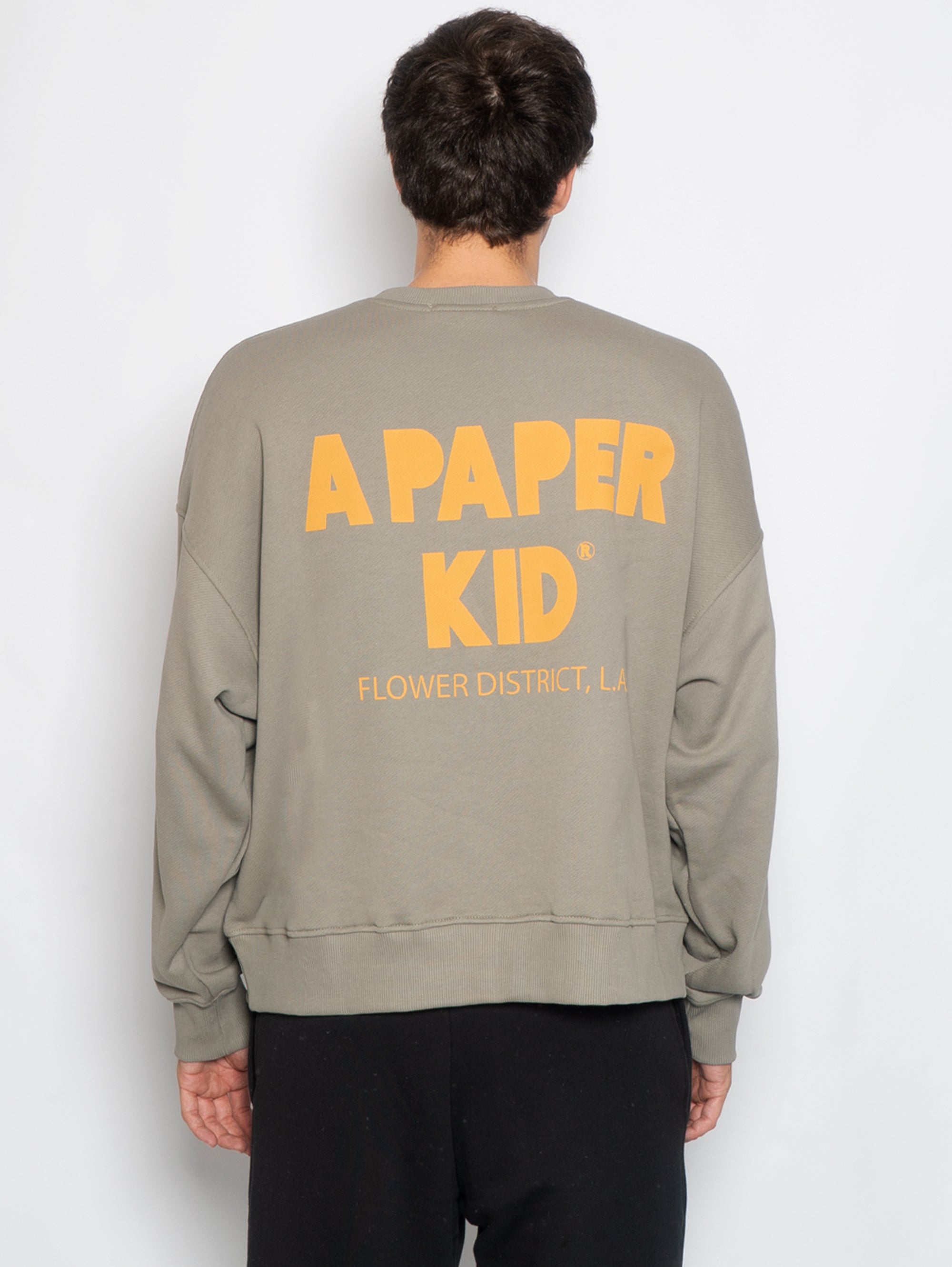 Sweatshirt mit Rundhalsausschnitt und Maxi-Sage-Rückenprint