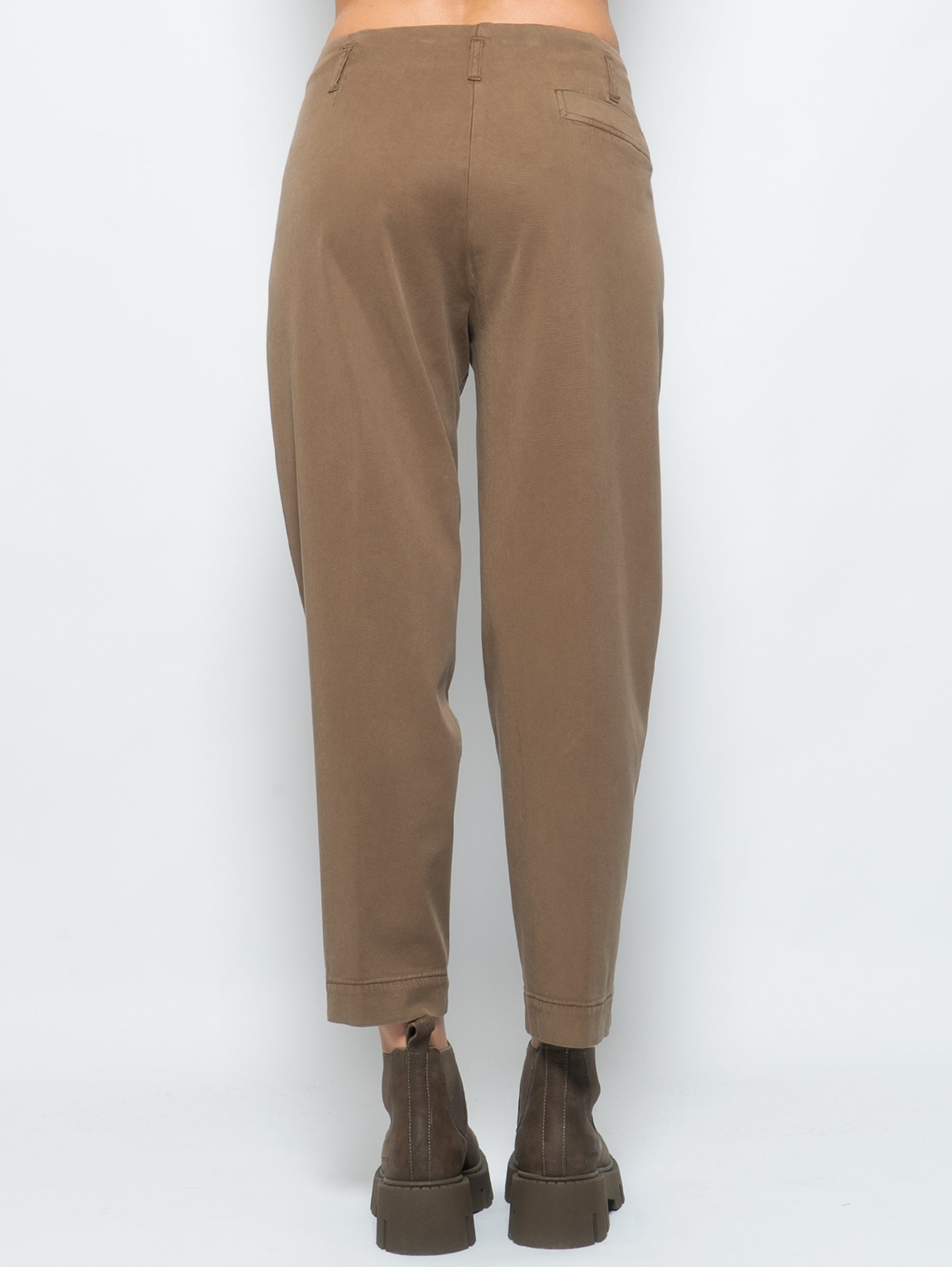 Trousers Carrot with Tortora Pinces
