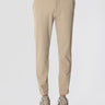 RRD-Pantaloni Chino in Tessuto Tecnico Tabacco-TRYME Shop