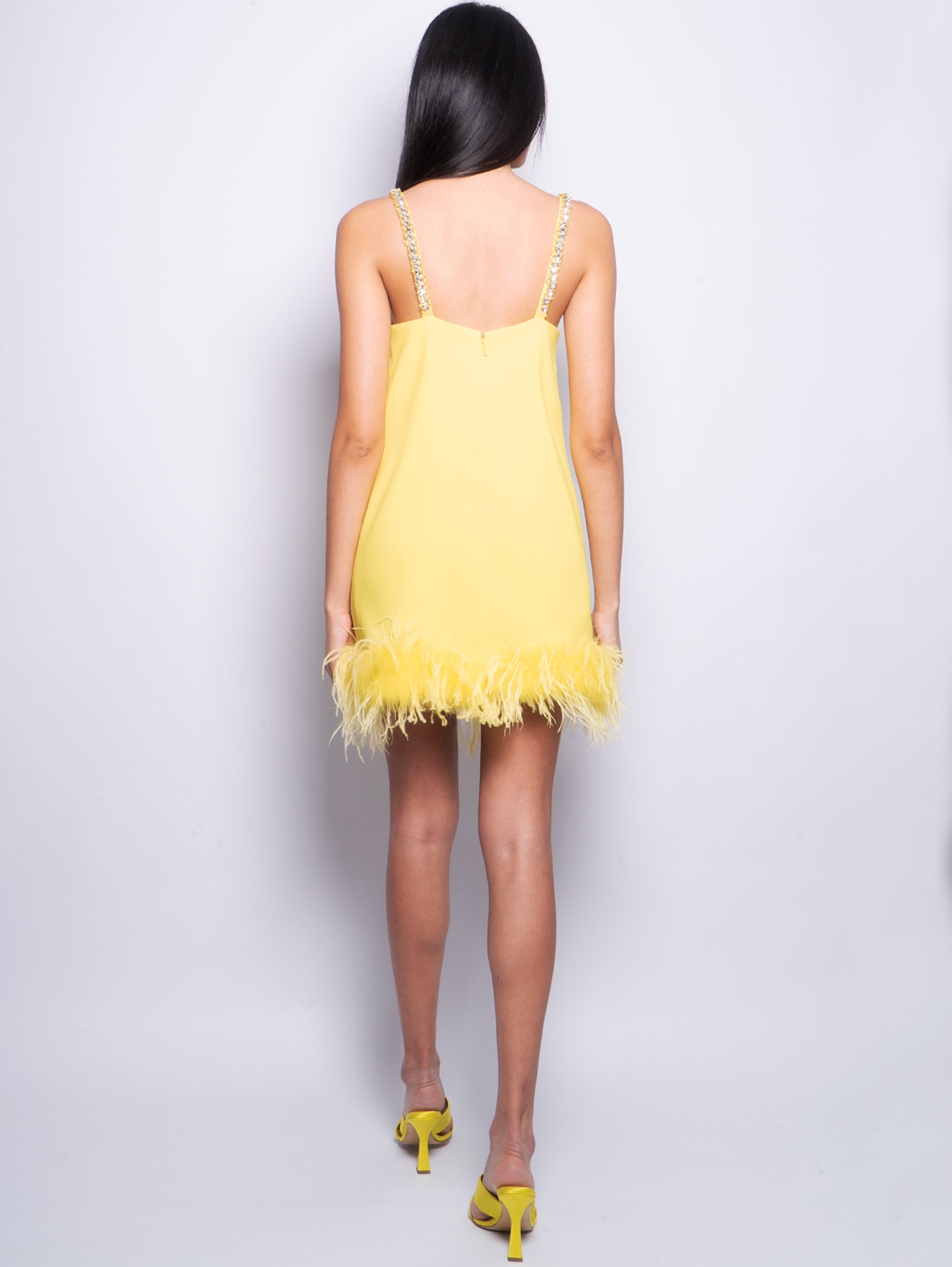 Short Dress with Feathers and Yellow Stones