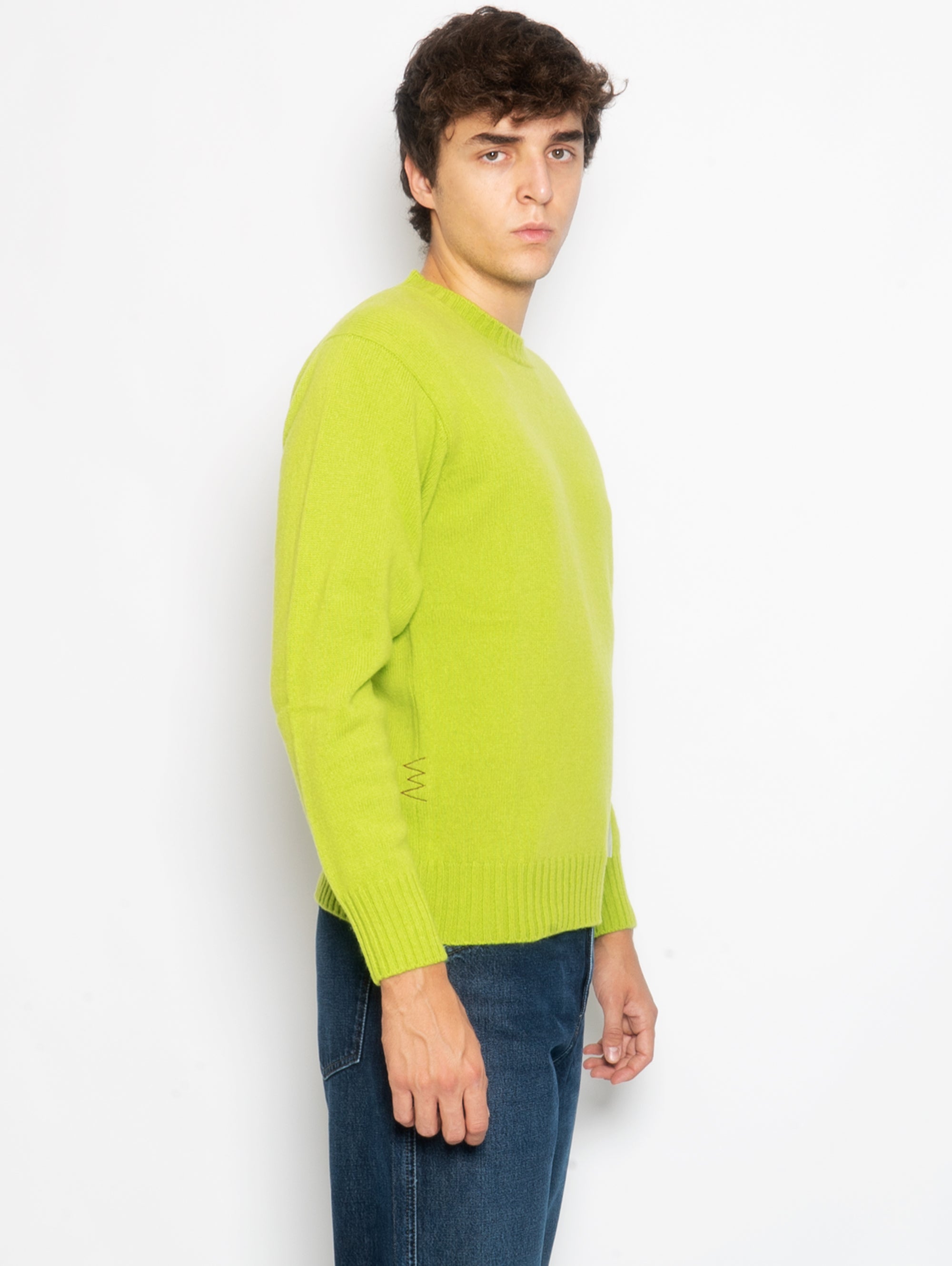 Green Wool and Cashmere Crewneck Sweater