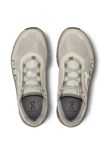 Heren sneakers Cloudmonster, ijskleurig/aluminium