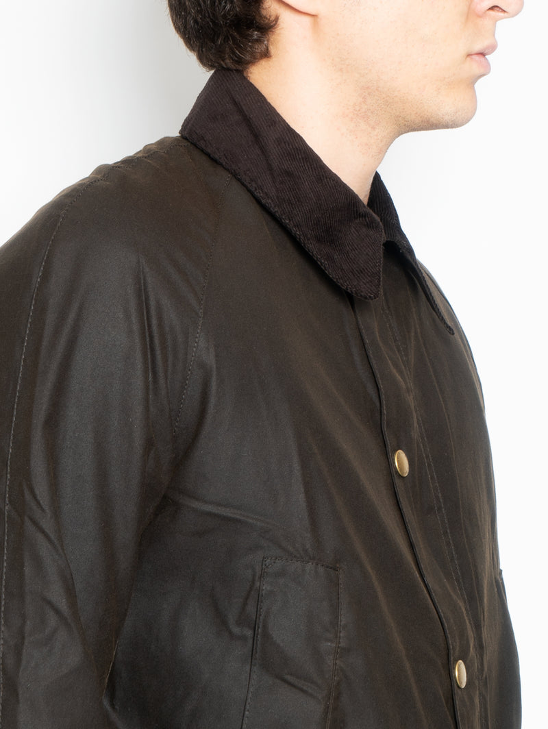 Giacca Ashby in Cotone Cerato Oliva