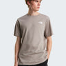 THE NORTH FACE-T-shirt Girocollo con Logo Posteriore Grigio-TRYME Shop