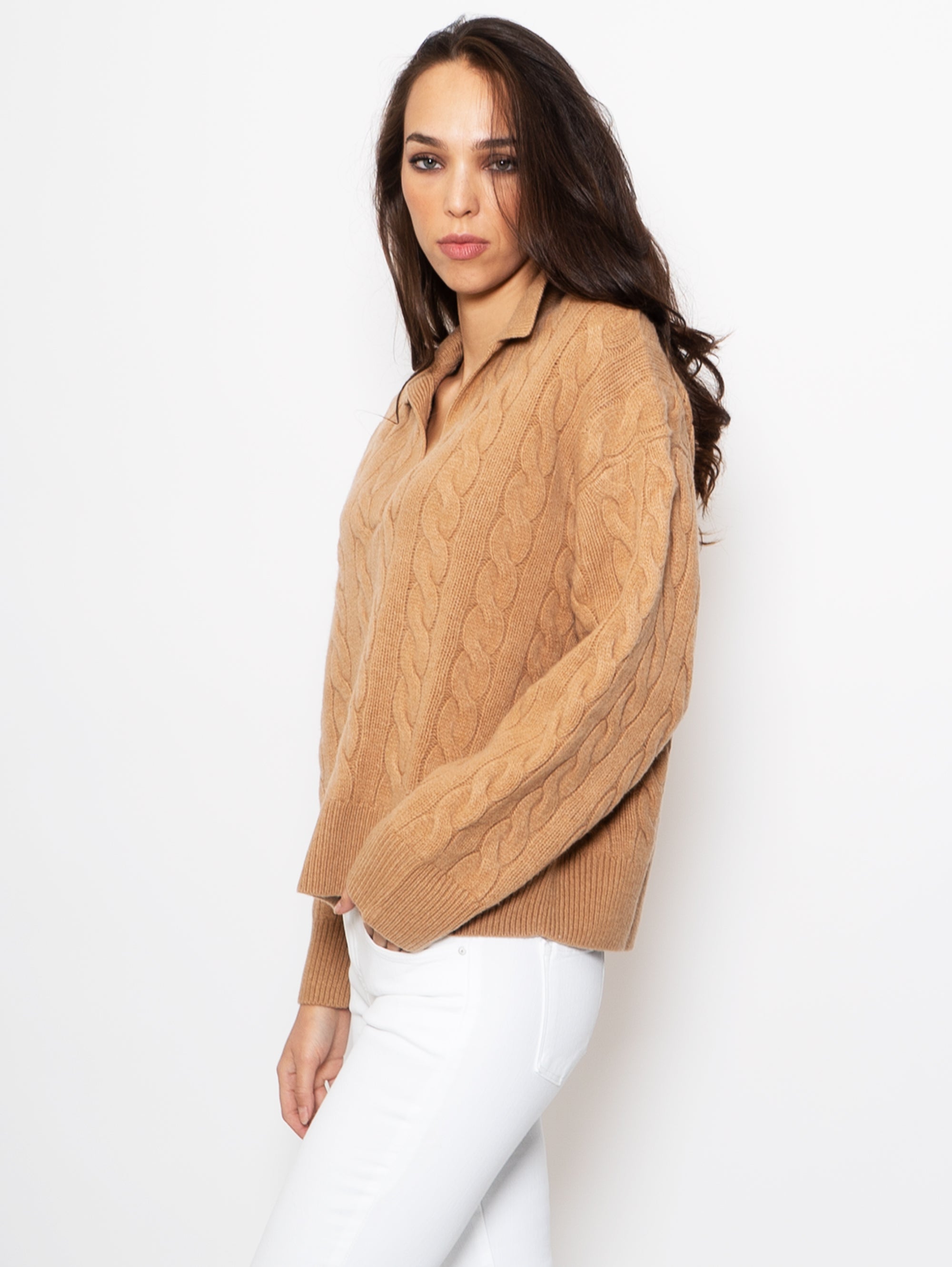 Braided Sweater with Camel Polo Neck