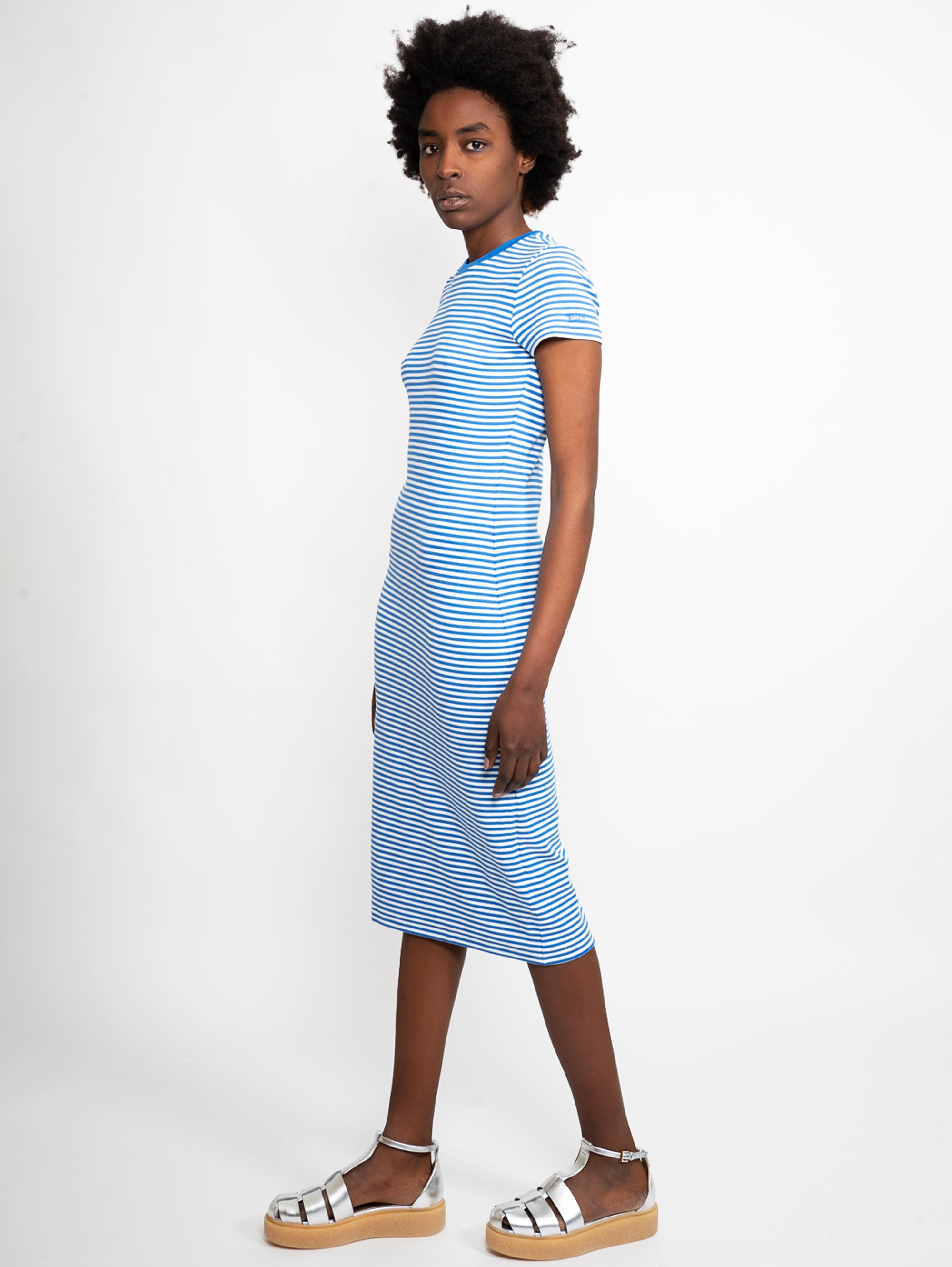 Blue Longuette Striped Dress
