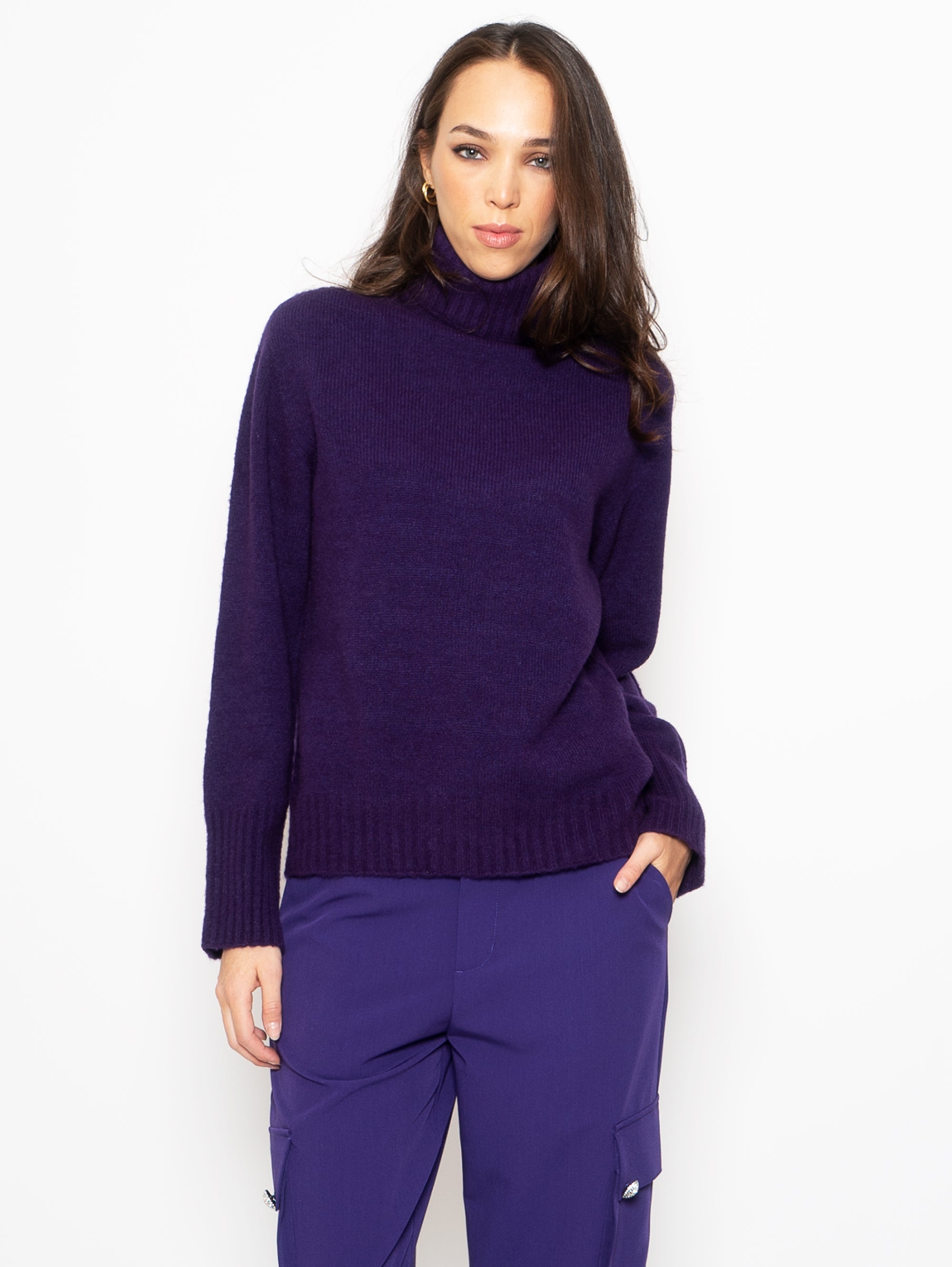 Regular Purple Turtleneck Sweater