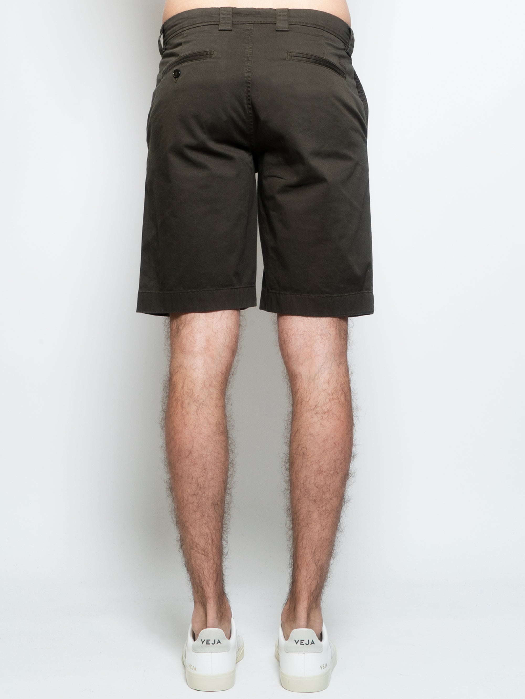 Chino Shorts in Green Cotton
