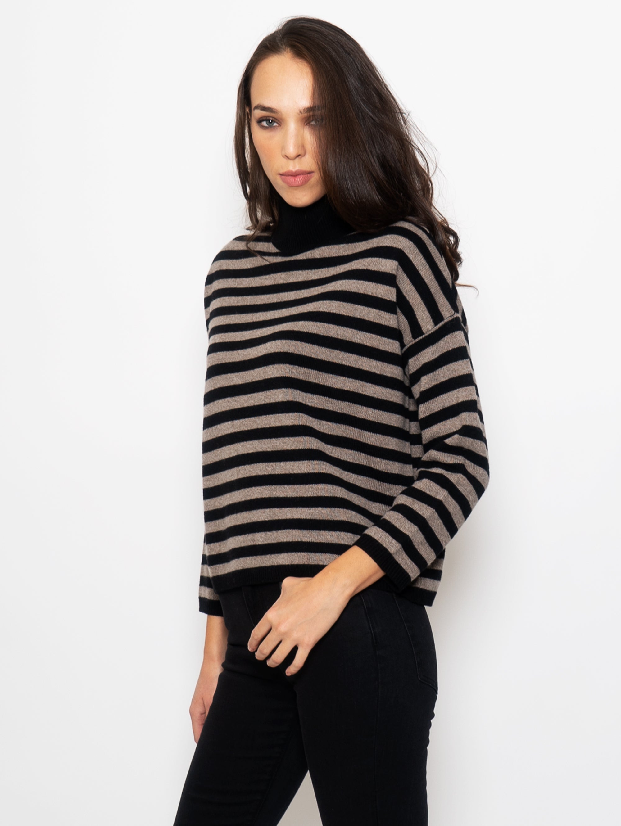 Striped Sweater with High Collar Black / Brown