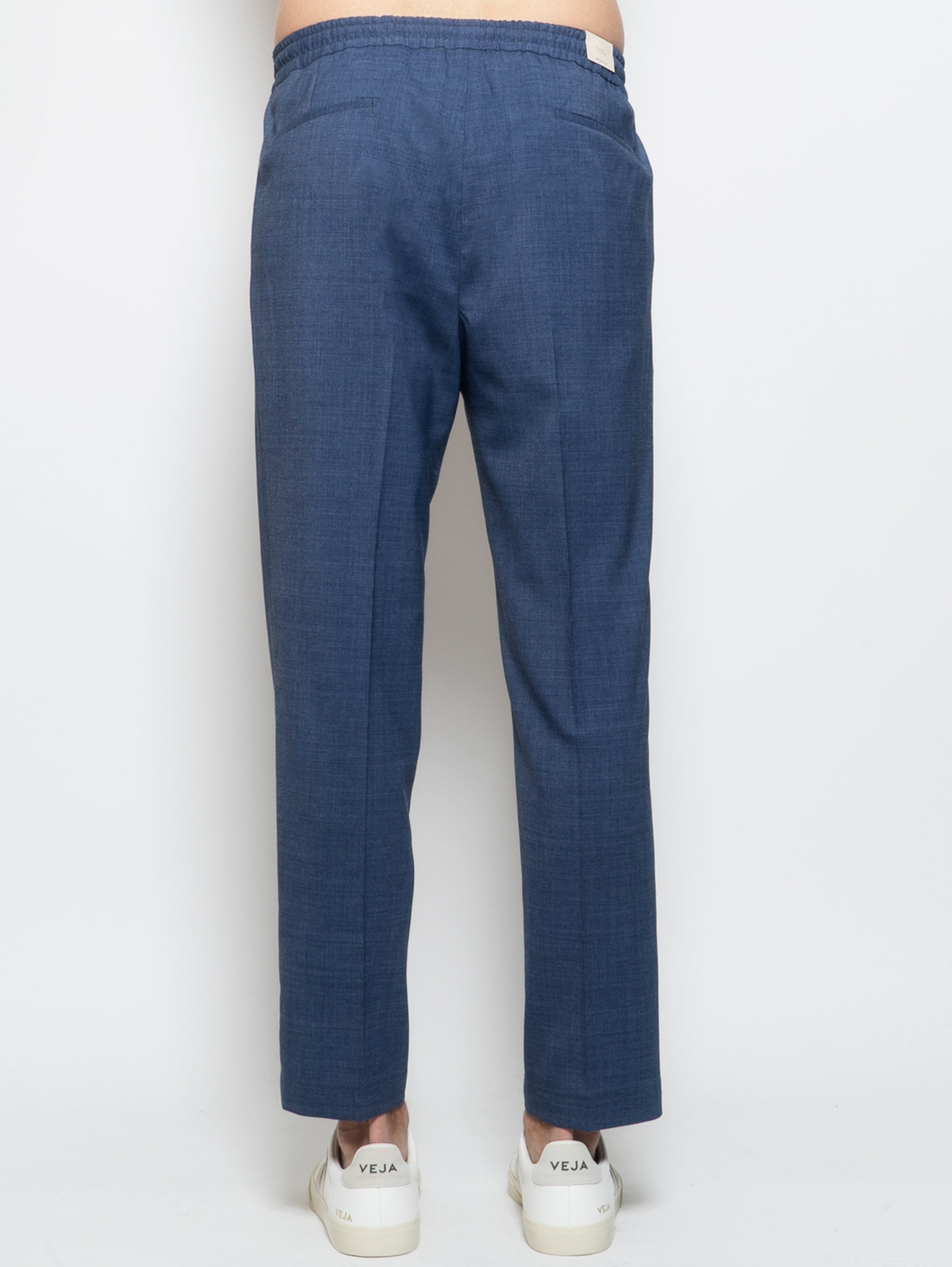 Blue Wool Blend Pants with Drawstring and Pleats