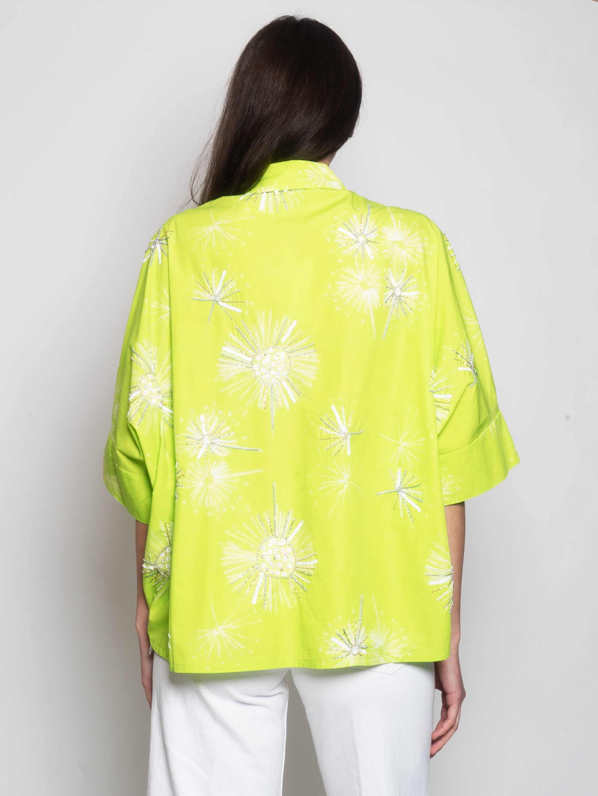 Shirt with Green Embroideries
