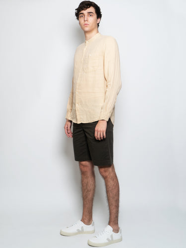 Chino Shorts in Green Cotton