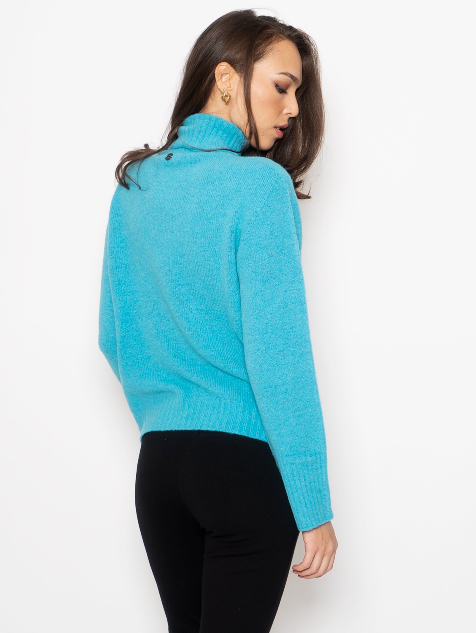 Regular Blue Turtleneck Sweater